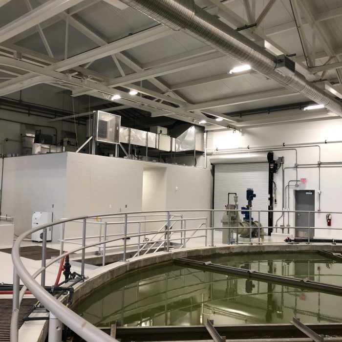 Main floor overview showing the diverse coatings needed in a new facility: Drywall, CMU, Structural Steel & Decking and Concrete Floors